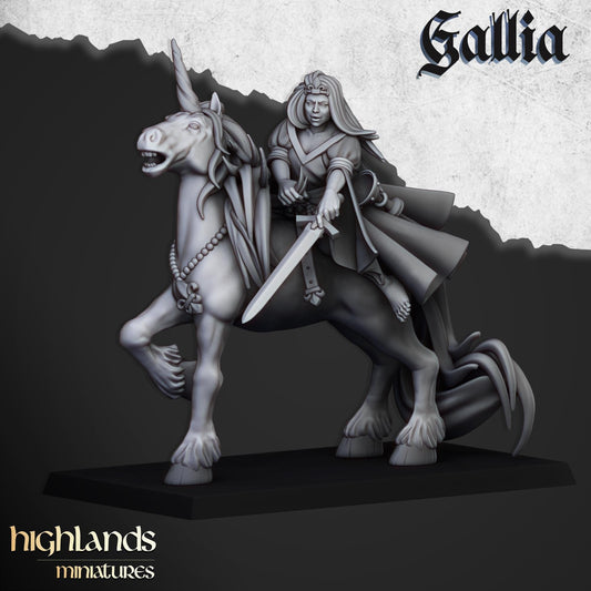 Highland Miniatures - Lady of Gallia - Fantasy / D&D (Custom Order)