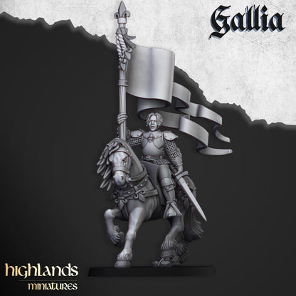 Highland Miniatures - Baroness of Gallia - Fantasy / D&D (Custom Order)